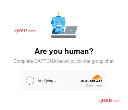 在 CSUBOT 的网页进行人机验证